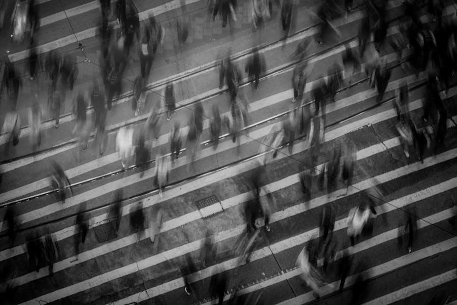 herd mentality